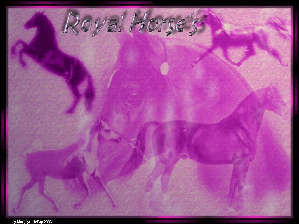 ../Images/Royal_Horse.JPG